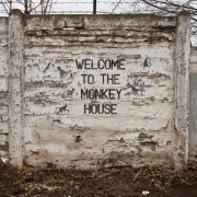 Welcome to the monkey house